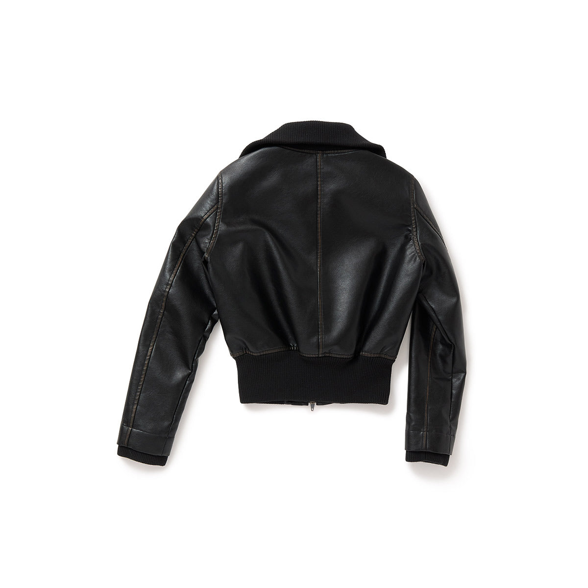 Faded Leather Blouson / Black
