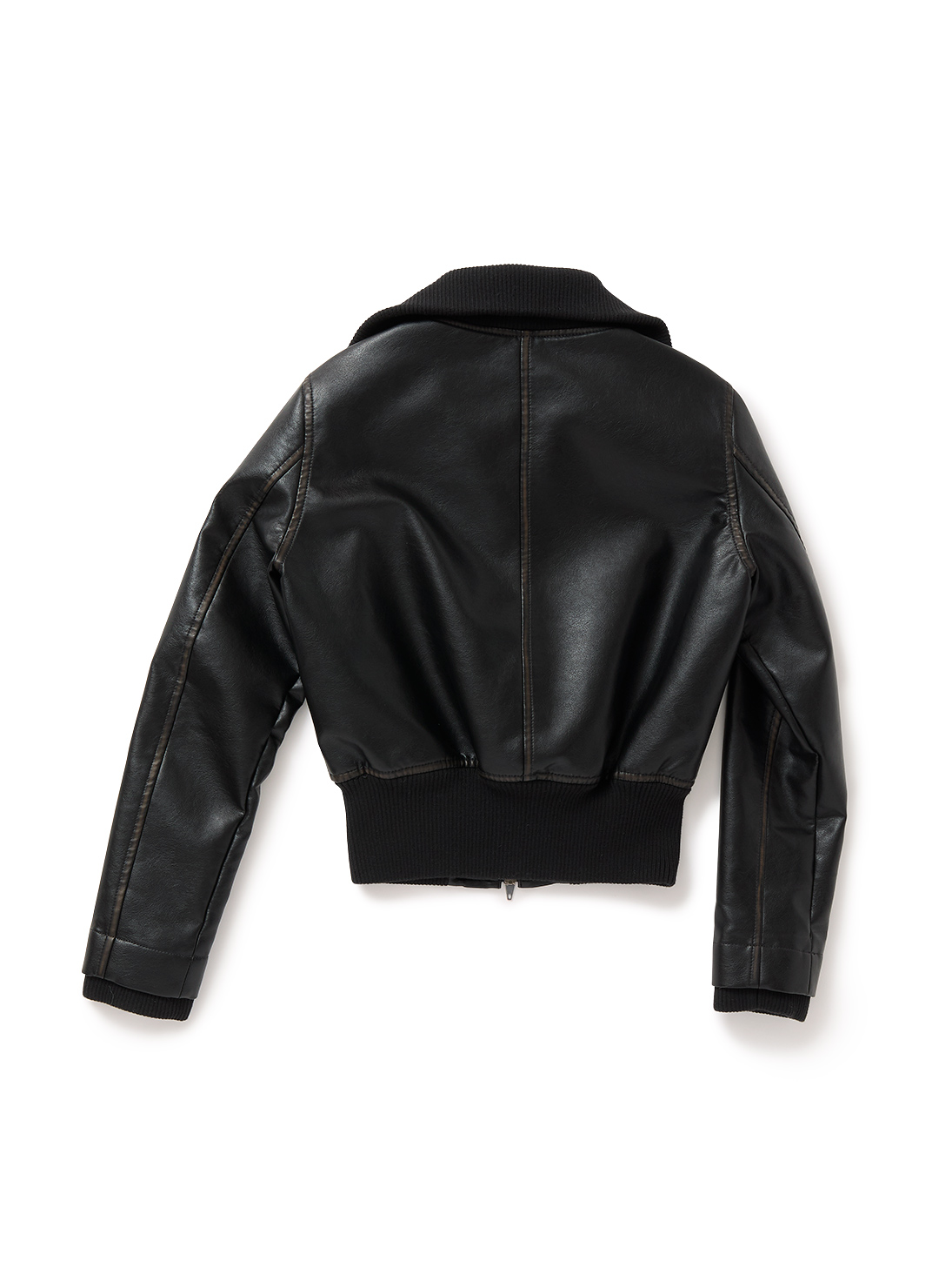 Faded Leather Blouson 詳細画像 Black 2