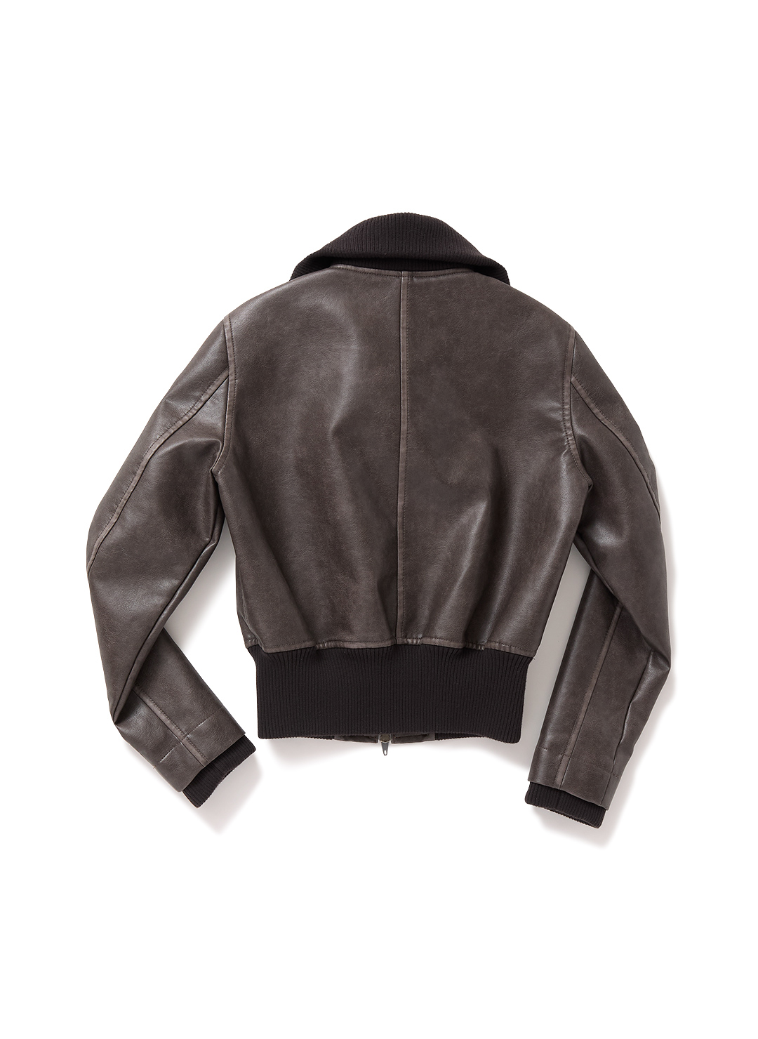 Faded Leather Blouson 詳細画像 Brown 2